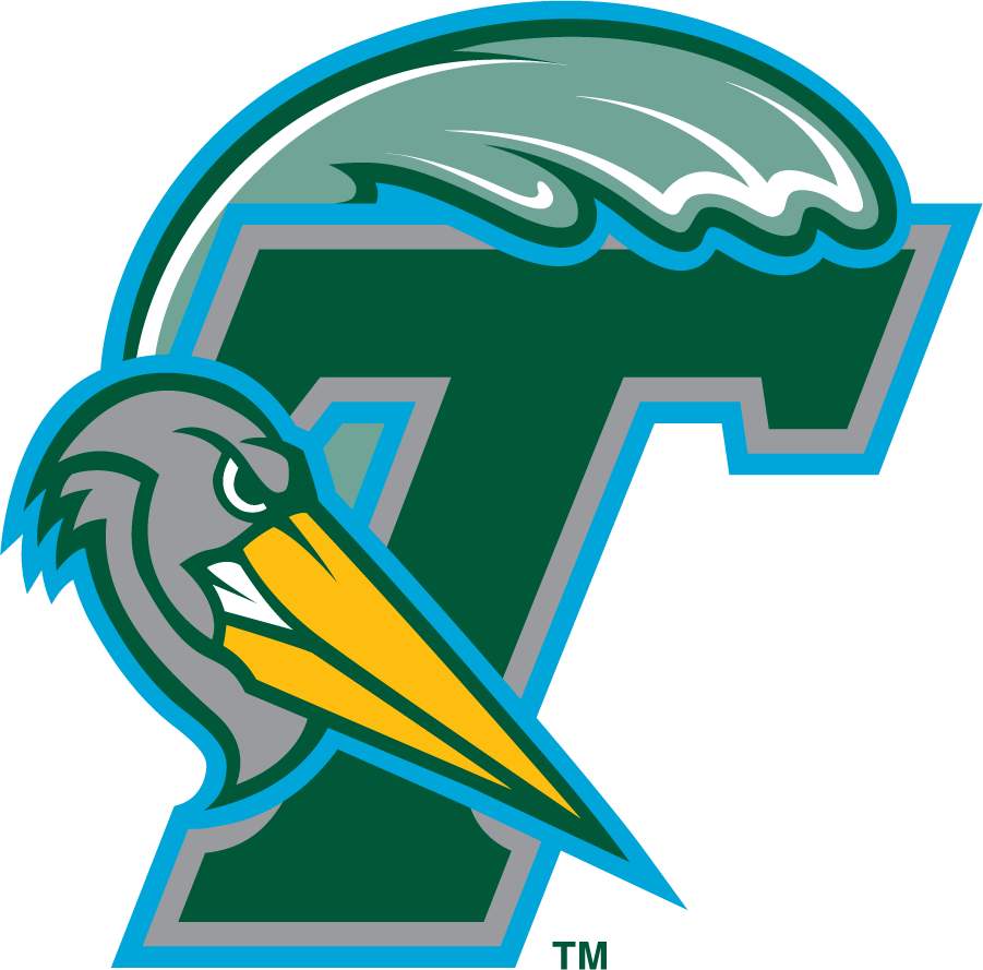 Tulane Green Wave 1998-2005 Secondary Logo iron on transfers for T-shirts